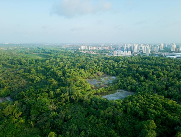 Comment les villes peuvent-elles intégrer la gestion des déchets dans leurs plans d'urbanisme ?