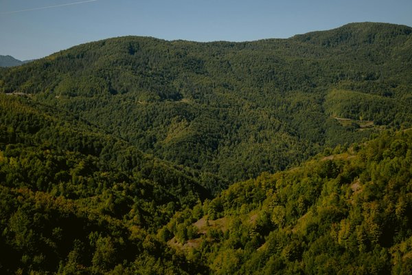Éveillez l'autonomie avec le tour d'observation montessori made in france